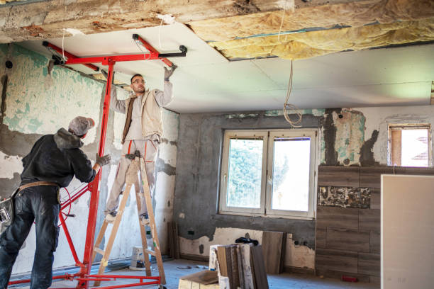 Best Insulation Materials and Products in Lake City, SC